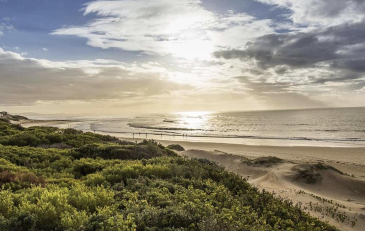 House On The Hill Paradise Beach Jeffreys Bay Extérieur photo