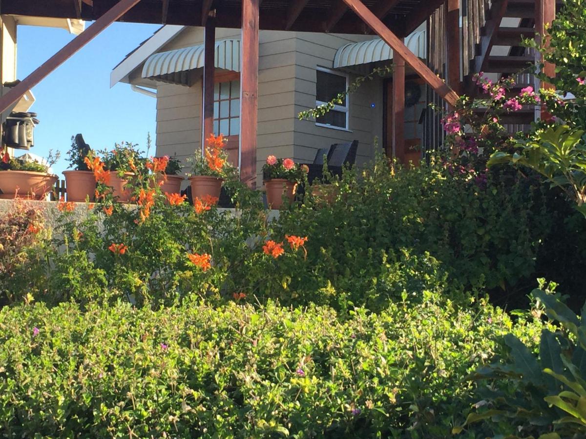 House On The Hill Paradise Beach Jeffreys Bay Extérieur photo